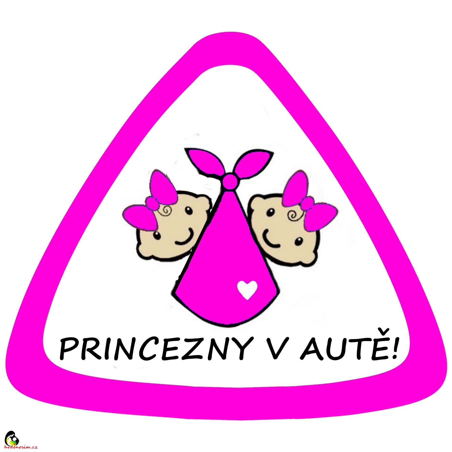 Samolepka na auto " princezny v autě "fialová